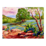 Bluebonnet Trail Post Cards