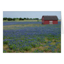 Bluebonnets and a Red Barn Cards