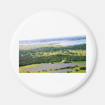 bluebonnets.JPG Magnet