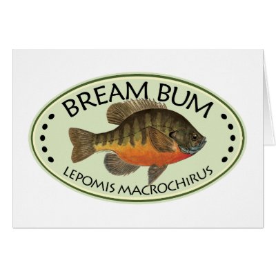Bluegill Bream Fishing Cards by TroutWhiskers