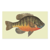 Bluegill Fish Rectangular Stickers