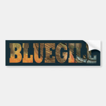 Bluegill Fishing Bumper Stickers