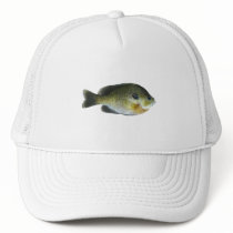 Bluegill Sunfish Photo Mesh Hat