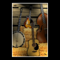 Bluegrass Instruments Poster posters