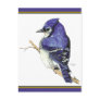 Bluejay 2 Postcard