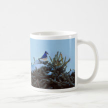 BlueJay and Fir Tree Mugs