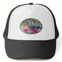 Bluejay Gift Ideas Mesh Hats