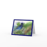 Bluejay In the Muskeg Cards