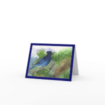 Bluejay In the Muskeg Cards