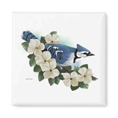 Bluejay Magnet by waterart