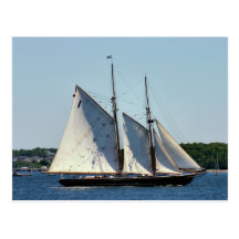 Bluenose II Postcard