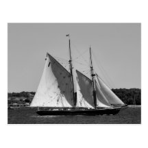 Bluenose II Postcard