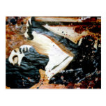 Blues In Brown Postcard