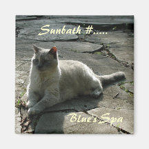 Blue's Spa Refrigerator Magnets