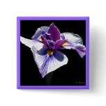 Bluest Purple Iris Pins