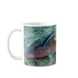 Bluestreak Cleaner Wrasse (Labroides dimidiatus) Mug