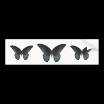 BlueSwallowTail Butterfly bumper stickers