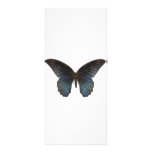 BlueSwallowTail Butterfly Custom Rack Cards