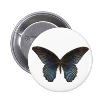 BlueSwallowTail Butterfly buttons