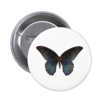 BlueSwallowTail Butterfly buttons