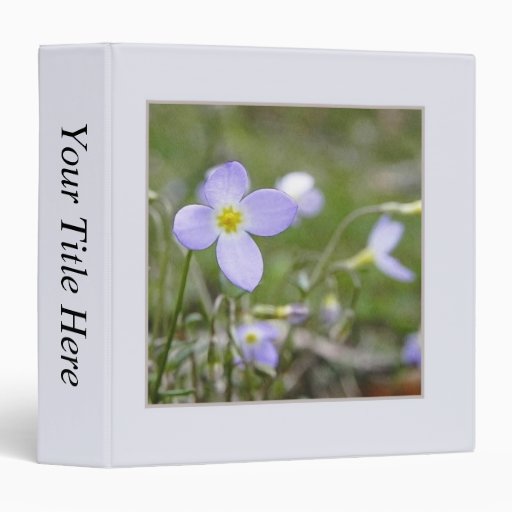 Bluets - Quaker Ladies Binders
