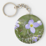 Bluets - Quaker Ladies Keychain