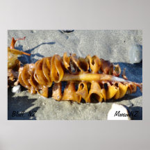 Bluff Beauty Poster