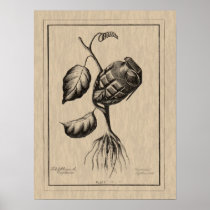 Blum de Explosive Posters