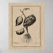 Blum de Explosive Posters