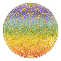 Blume des Lebens | klein chakren coloured BG Stickers