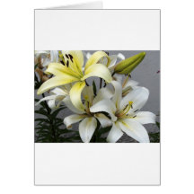 Blume Karte