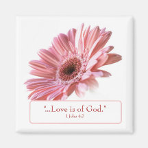 "Blush" Daisy Magnet