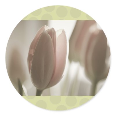 Blush Nude Tulips, polka dots, cards template Stickers by JayneLogan