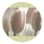 Blush Nude Tulips, polka dots, cards template stickers