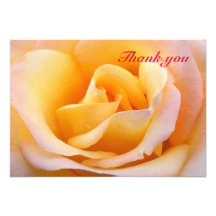 Blush Rose Thank You Card Personalized Invitations