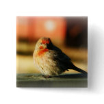 Blushing Birdie Buttons