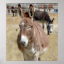 Blushing Burro & Wild Birds - Kids & Animal Lovers Print