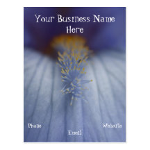 BLYE Blue and Yellow Iris Post Cards