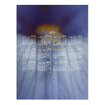 BLYE Blue and Yellow Iris Post Cards