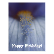 BLYE Blue and Yellow Iris Postcard