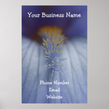 BLYE Blue and Yellow Iris Poster