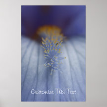 BLYE Blue and Yellow Iris Poster