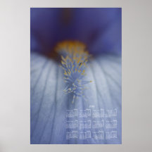 BLYE Blue and Yellow Iris Posters