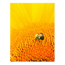 BNo2 : Abeille-licious numéro 2 Cartes Postales