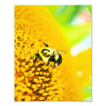 BNo4: Bee-licious Number 4 Photo Print