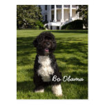 Bo Obama Post Cards
