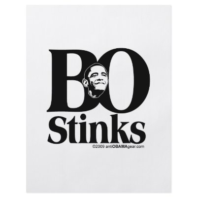 BO Stinks Flyers by KennyC57