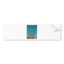 Boab Happiness Bumper Sticker