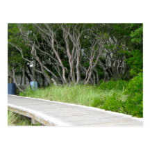 Boardwalk, Davis Park, Fire Island Postcard