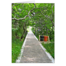 Boardwalk to the Atlantic Cards